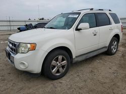 Ford Escape salvage cars for sale: 2009 Ford Escape Limited