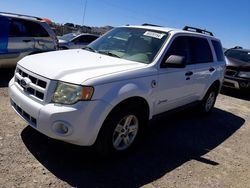 Ford salvage cars for sale: 2011 Ford Escape Hybrid