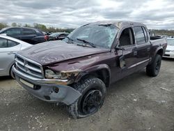 Dodge Dakota Quad slt salvage cars for sale: 2004 Dodge Dakota Quad SLT