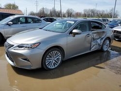 Salvage cars for sale at Columbus, OH auction: 2018 Lexus ES 350