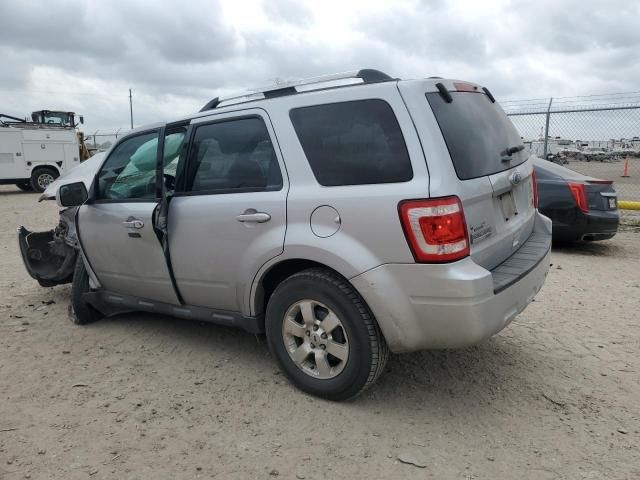 2011 Ford Escape Limited