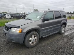 Salvage cars for sale at Eugene, OR auction: 2004 Ford Escape XLS