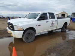 Salvage trucks for sale at Brighton, CO auction: 2010 Dodge RAM 2500