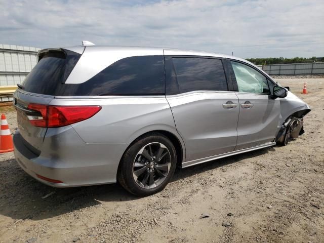 2024 Honda Odyssey Elite