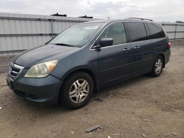 2005 Honda Odyssey EX