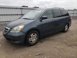 Salvage cars for sale at Fredericksburg, VA auction: 2005 Honda Odyssey EX