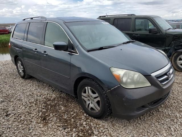 2005 Honda Odyssey EXL