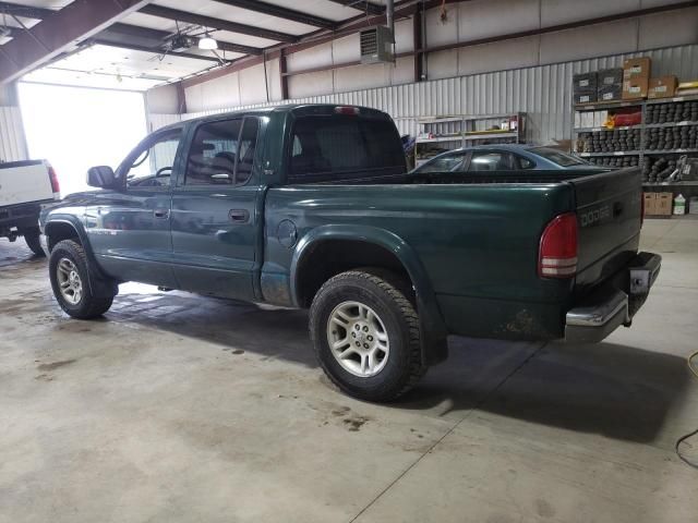 2001 Dodge Dakota Quattro