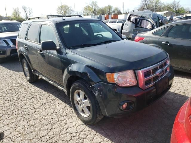 2009 Ford Escape XLT