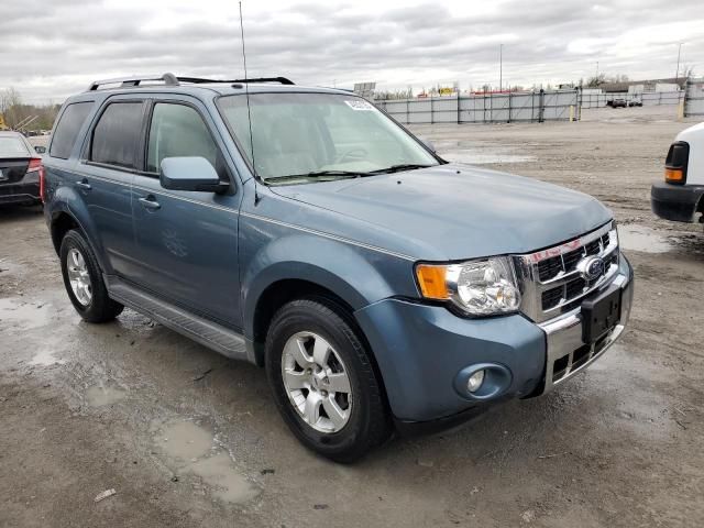 2010 Ford Escape Limited