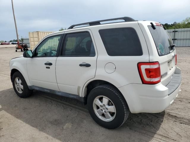 2010 Ford Escape XLT