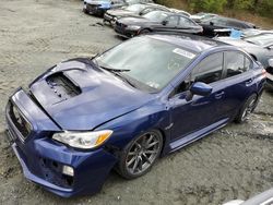 Salvage cars for sale at Baltimore, MD auction: 2016 Subaru WRX