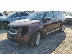 Salvage cars for sale at Houston, TX auction: 2020 KIA Telluride LX