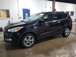 Salvage cars for sale at Blaine, MN auction: 2016 Ford Escape SE