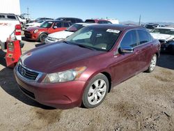Salvage cars for sale from Copart Tucson, AZ: 2009 Honda Accord EXL