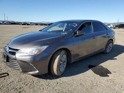 Salvage cars for sale at Vallejo, CA auction: 2016 Toyota Camry LE