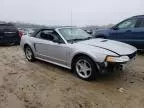 2000 Ford Mustang