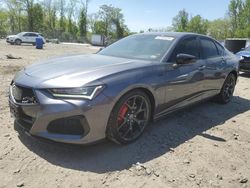 2023 Acura TLX Type S en venta en Baltimore, MD