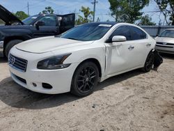 Salvage cars for sale at Riverview, FL auction: 2011 Nissan Maxima S