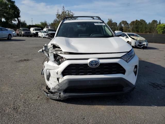 2019 Toyota Rav4 XLE