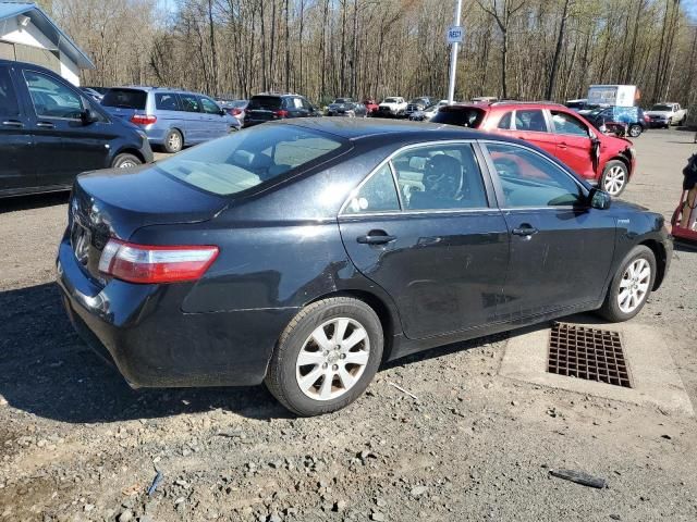 2009 Toyota Camry Hybrid