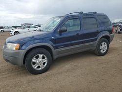Salvage cars for sale at Brighton, CO auction: 2002 Ford Escape XLT