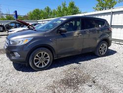 Salvage cars for sale at Walton, KY auction: 2017 Ford Escape SE