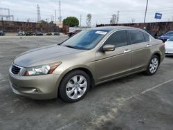 Salvage cars for sale from Copart Wilmington, CA: 2009 Honda Accord EXL