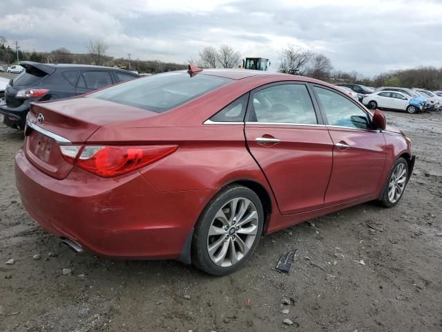 2013 Hyundai Sonata SE