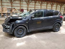 Salvage cars for sale from Copart London, ON: 2014 Ford Escape SE
