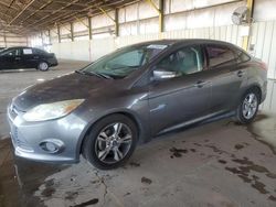 Salvage cars for sale from Copart Phoenix, AZ: 2013 Ford Focus SE