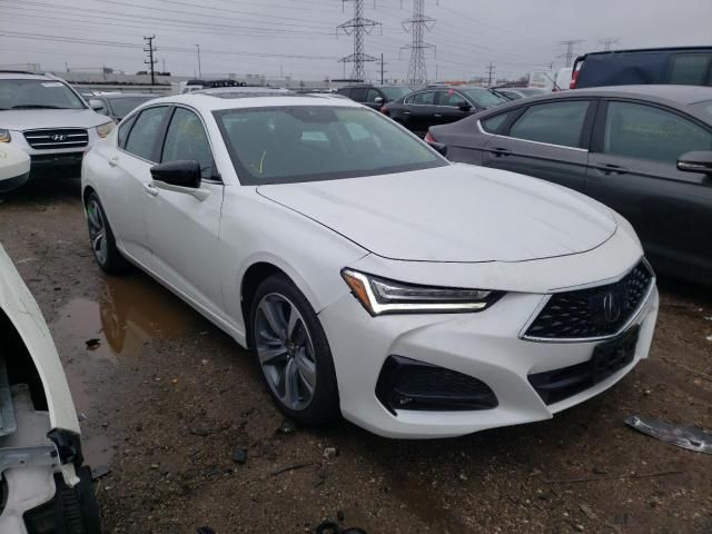 2023 Acura TLX Advance