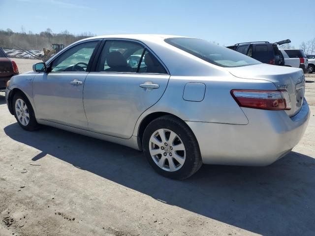 2009 Toyota Camry Hybrid