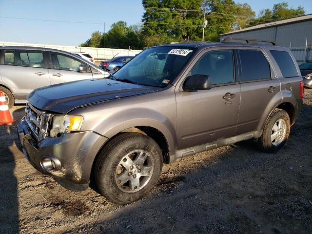 2012 Ford Escape XLT