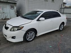 Salvage cars for sale at York Haven, PA auction: 2010 Toyota Corolla Base