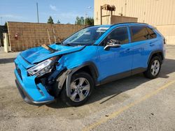 Salvage cars for sale at Gaston, SC auction: 2019 Toyota Rav4 XLE
