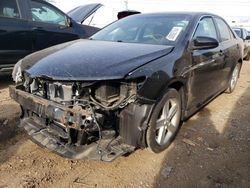 Salvage cars for sale at Elgin, IL auction: 2014 Toyota Camry L