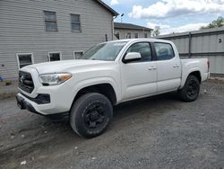 Salvage cars for sale from Copart York Haven, PA: 2016 Toyota Tacoma Double Cab