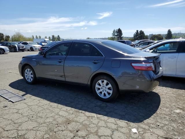 2008 Toyota Camry Hybrid