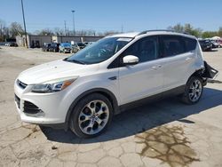 Salvage cars for sale at Fort Wayne, IN auction: 2014 Ford Escape Titanium
