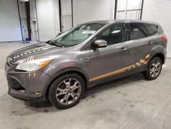 Salvage cars for sale from Copart Assonet, MA: 2013 Ford Escape SEL