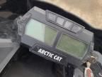 2019 Arctic Cat M8