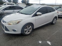 Salvage cars for sale from Copart Rancho Cucamonga, CA: 2013 Ford Focus SE