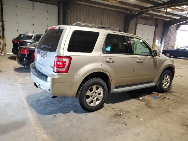 2011 Ford Escape Limited