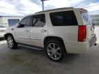 2010 Cadillac Escalade Luxury