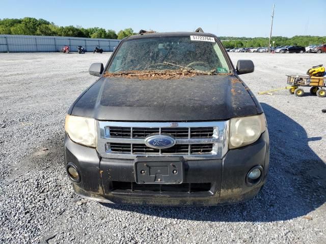 2009 Ford Escape Hybrid