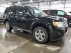 2010 Ford Escape Limited