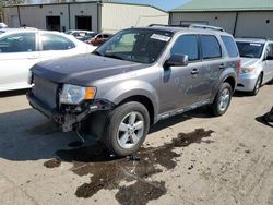 Salvage cars for sale from Copart Ham Lake, MN: 2010 Ford Escape Limited