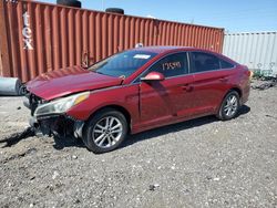 Salvage cars for sale at Homestead, FL auction: 2015 Hyundai Sonata SE