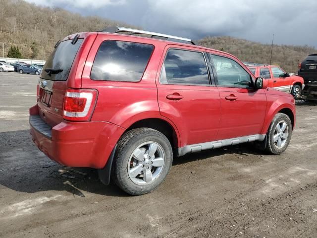 2010 Ford Escape Limited